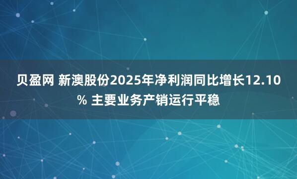 贝盈网 新澳股份2025年净利润同比增长12.10% 主要业务产销运行平稳