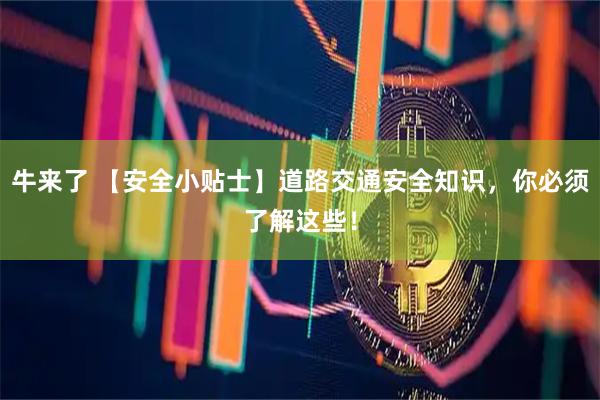 牛来了 【安全小贴士】道路交通安全知识,你必须了解这些!